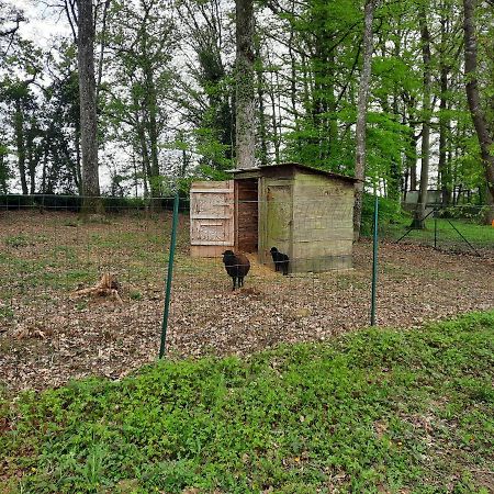 Maison De Campagne Au Calme Chuelles エクステリア 写真