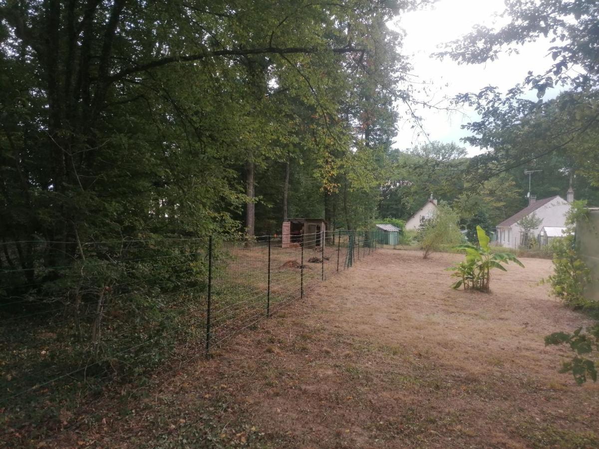 Maison De Campagne Au Calme Chuelles エクステリア 写真