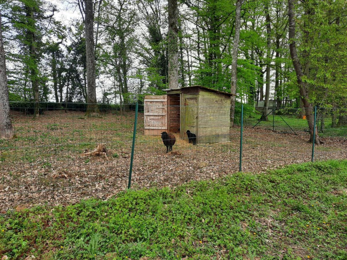 Maison De Campagne Au Calme Chuelles エクステリア 写真